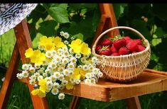 Cesta de Frutas Kenia, Cestas de Frutas para Regalar, Cesta de Frutas a Domicilio, Cestas de Fruta para Ocasiones Especiales, Arte Floral