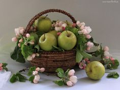 Centro Bambú, Floristería Ramells en Mahón, Servicio de Envío de Flores, Centro de Flores de Regalo, Flores de Regalo a Domicilio