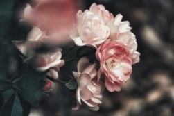 flores para los Tanatorios Ramo Funerario tonos Amarillos, Ramo para Tanatorio, Flores para dar Condolencias, Ramos Funerarios para Dar Pésame, Flores para Difuntos